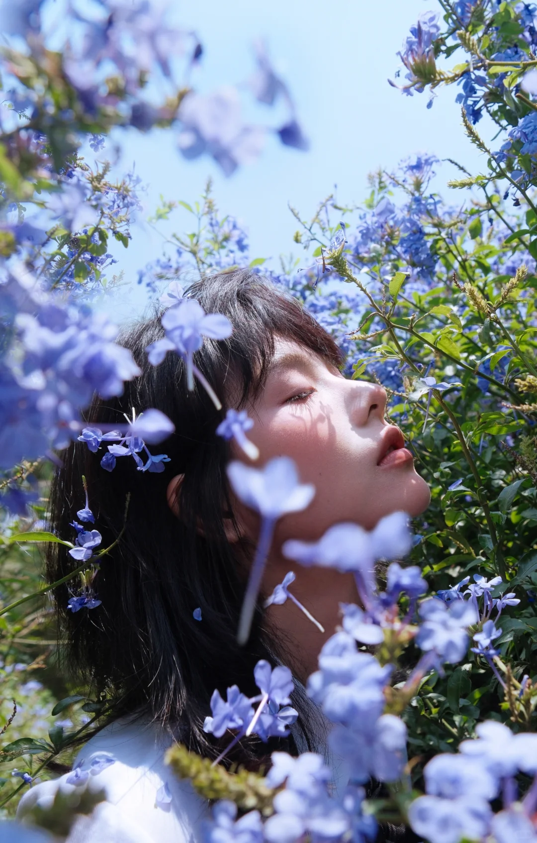 送你一曲蓝色乐章🎻