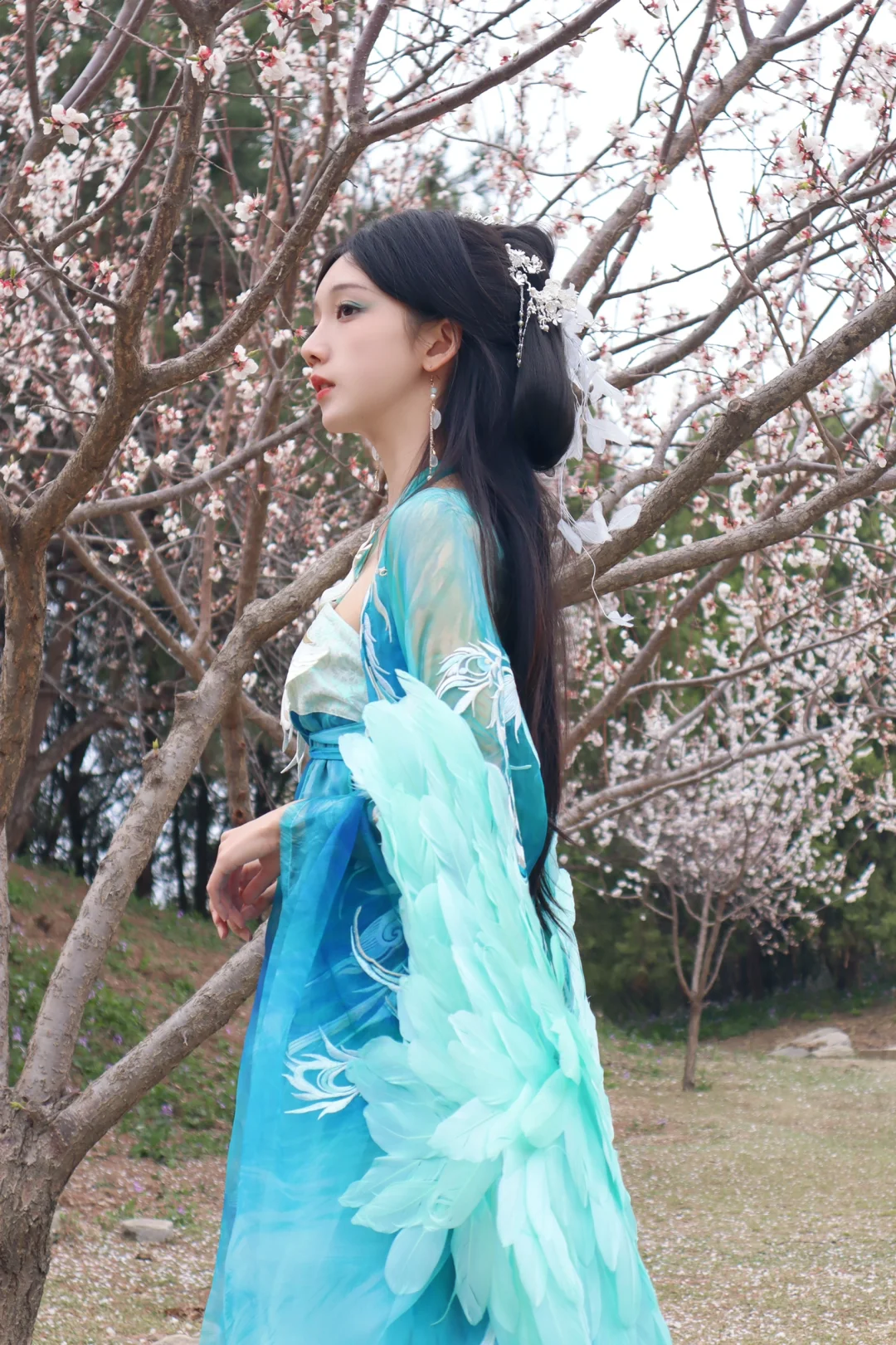 听说西域来了一位孔雀公主？🦚