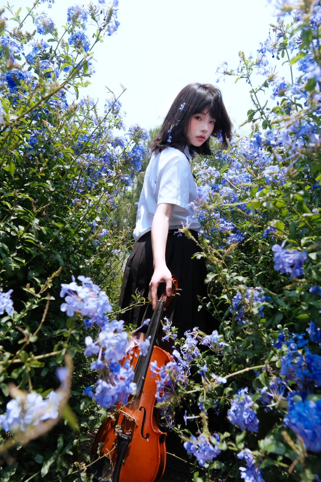 送你一曲蓝色乐章🎻