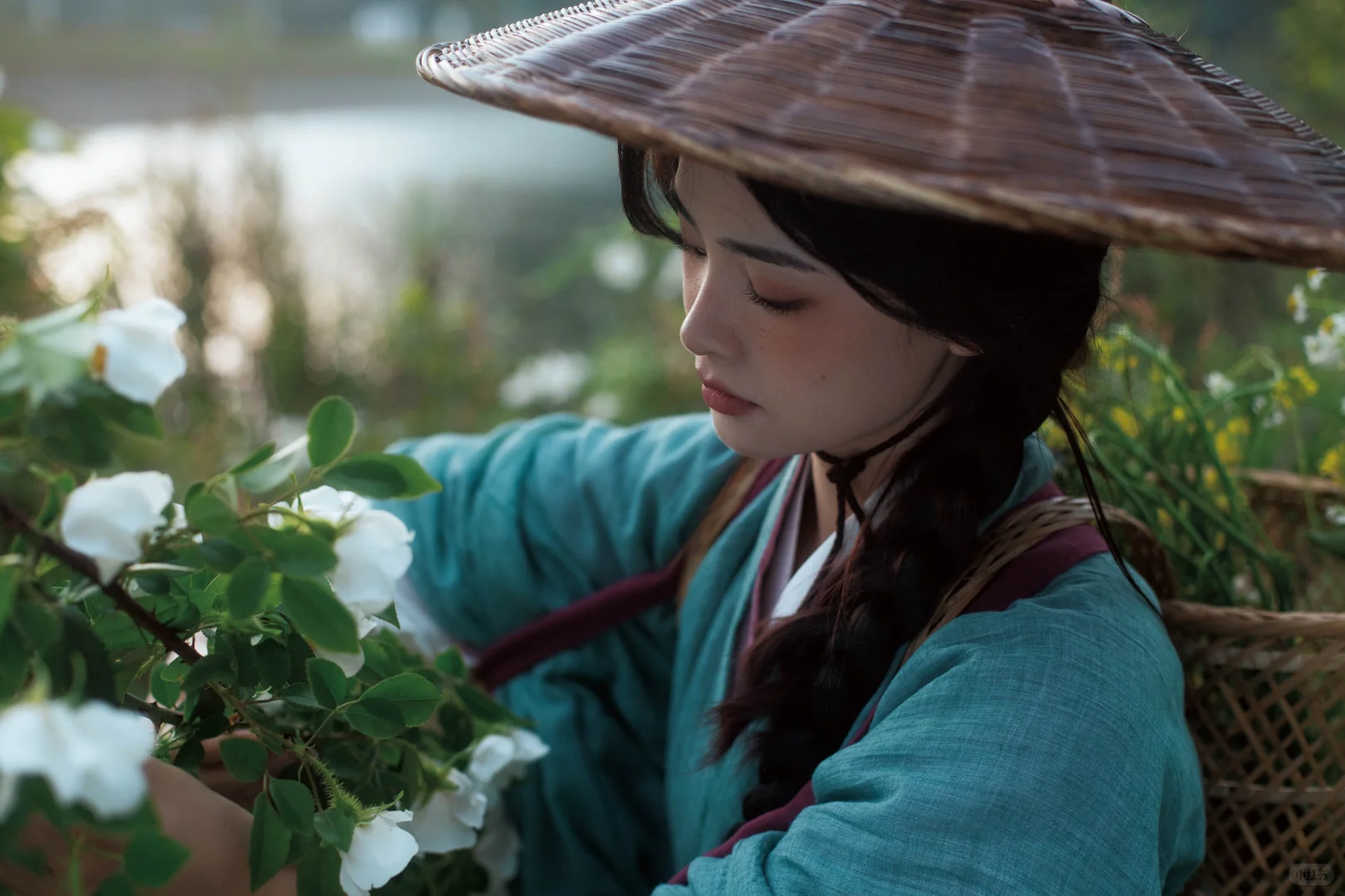 春风吹又生｜愿我如野草般坚韧