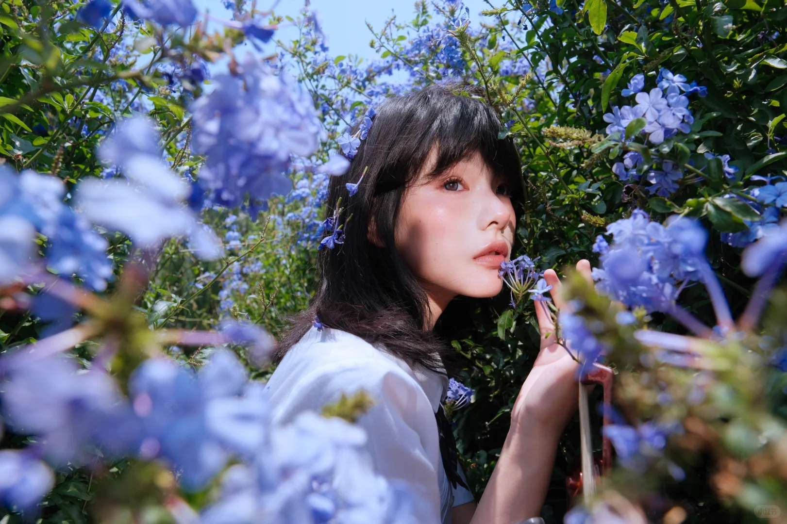送你一曲蓝色乐章🎻