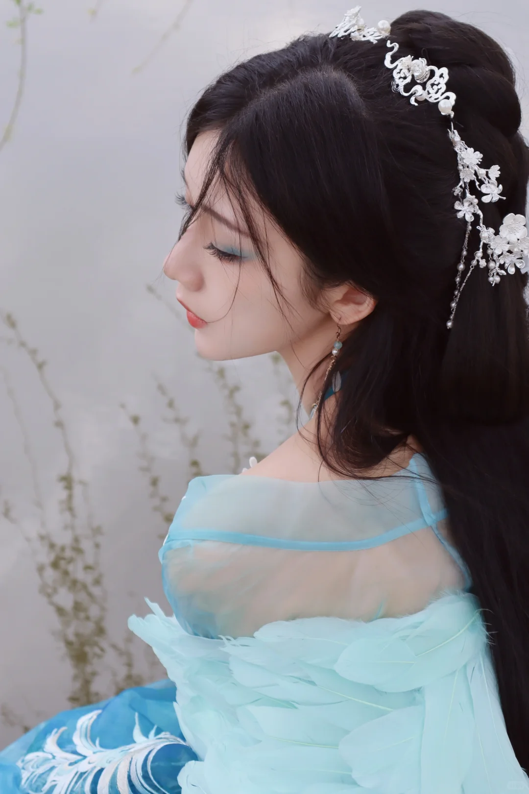 听说西域来了一位孔雀公主？🦚