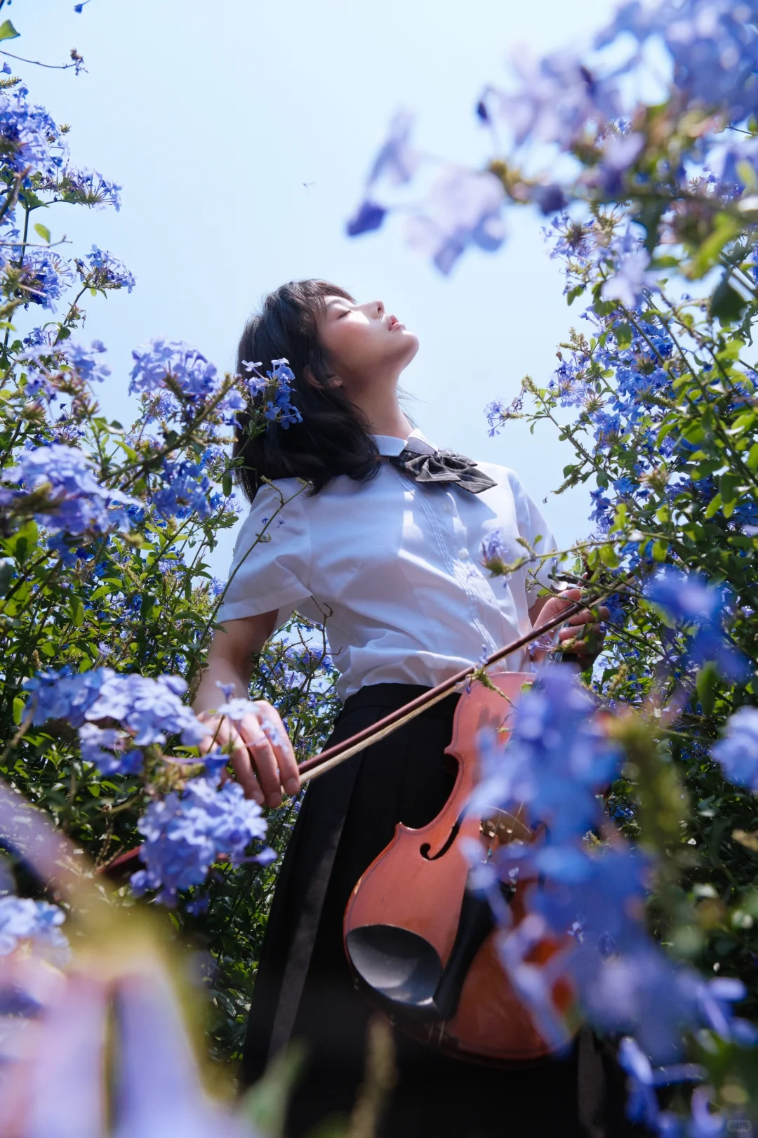送你一曲蓝色乐章🎻