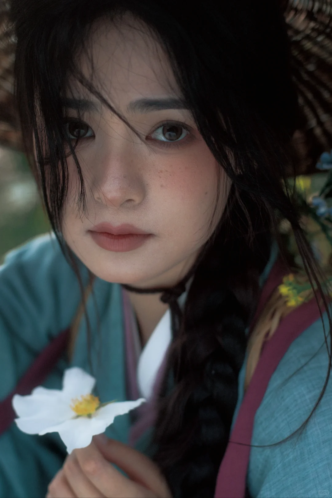 春风吹又生｜愿我如野草般坚韧