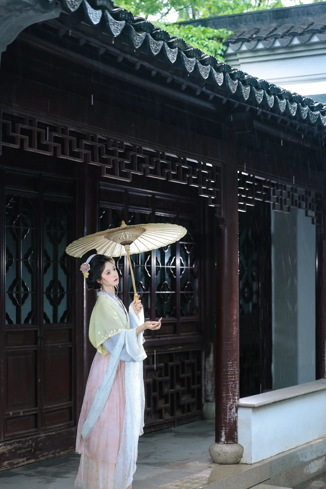 “昨夜雨疏风骤”