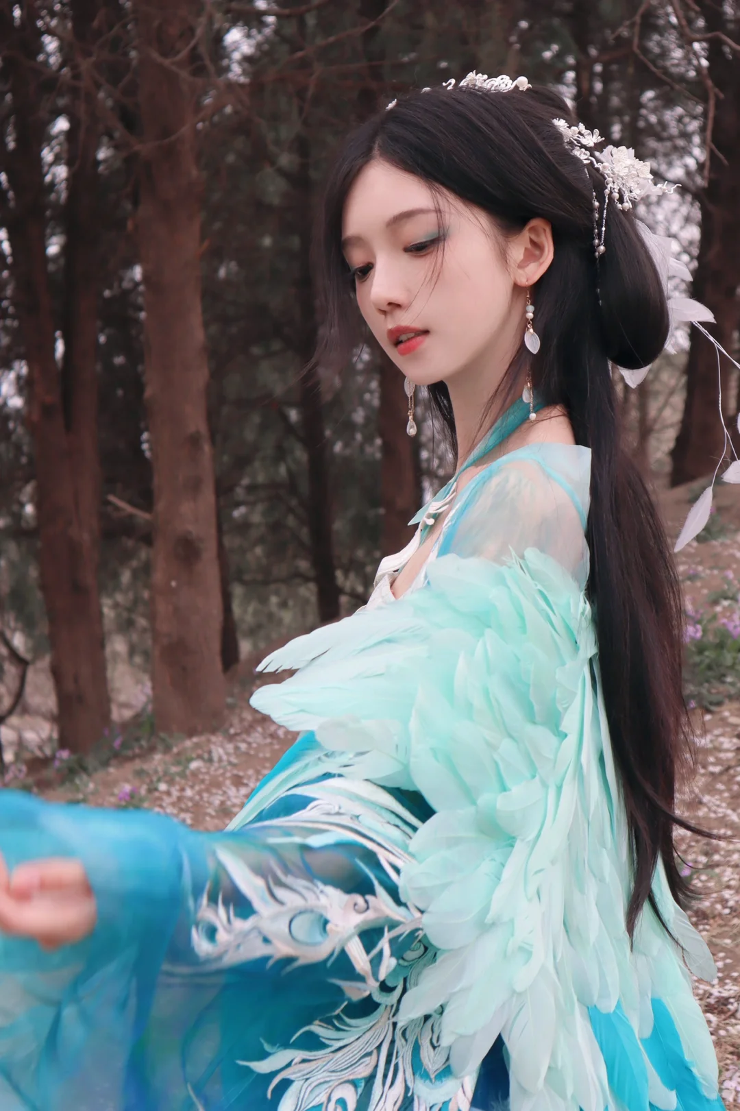 听说西域来了一位孔雀公主？🦚