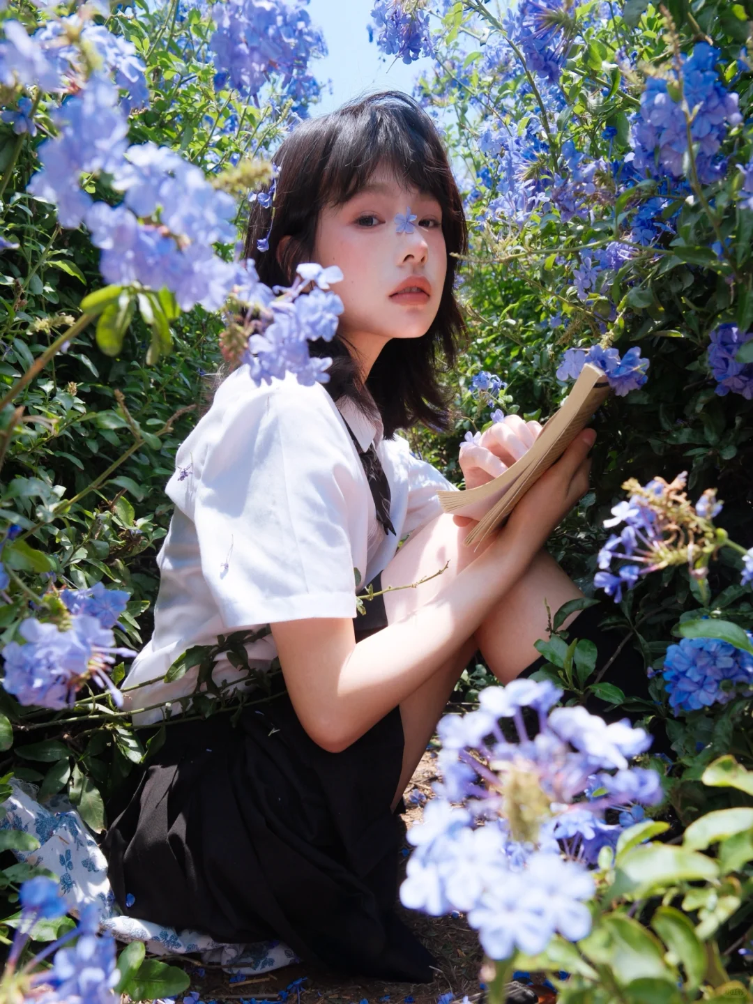 送你一曲蓝色乐章🎻