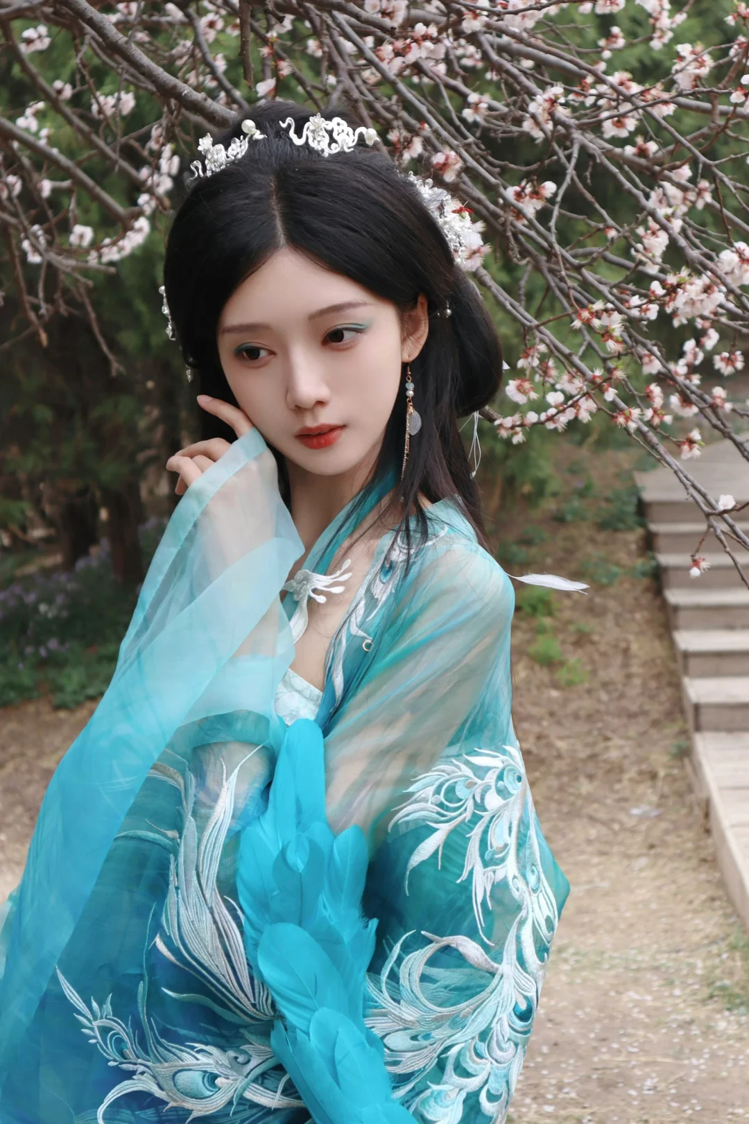 听说西域来了一位孔雀公主？🦚