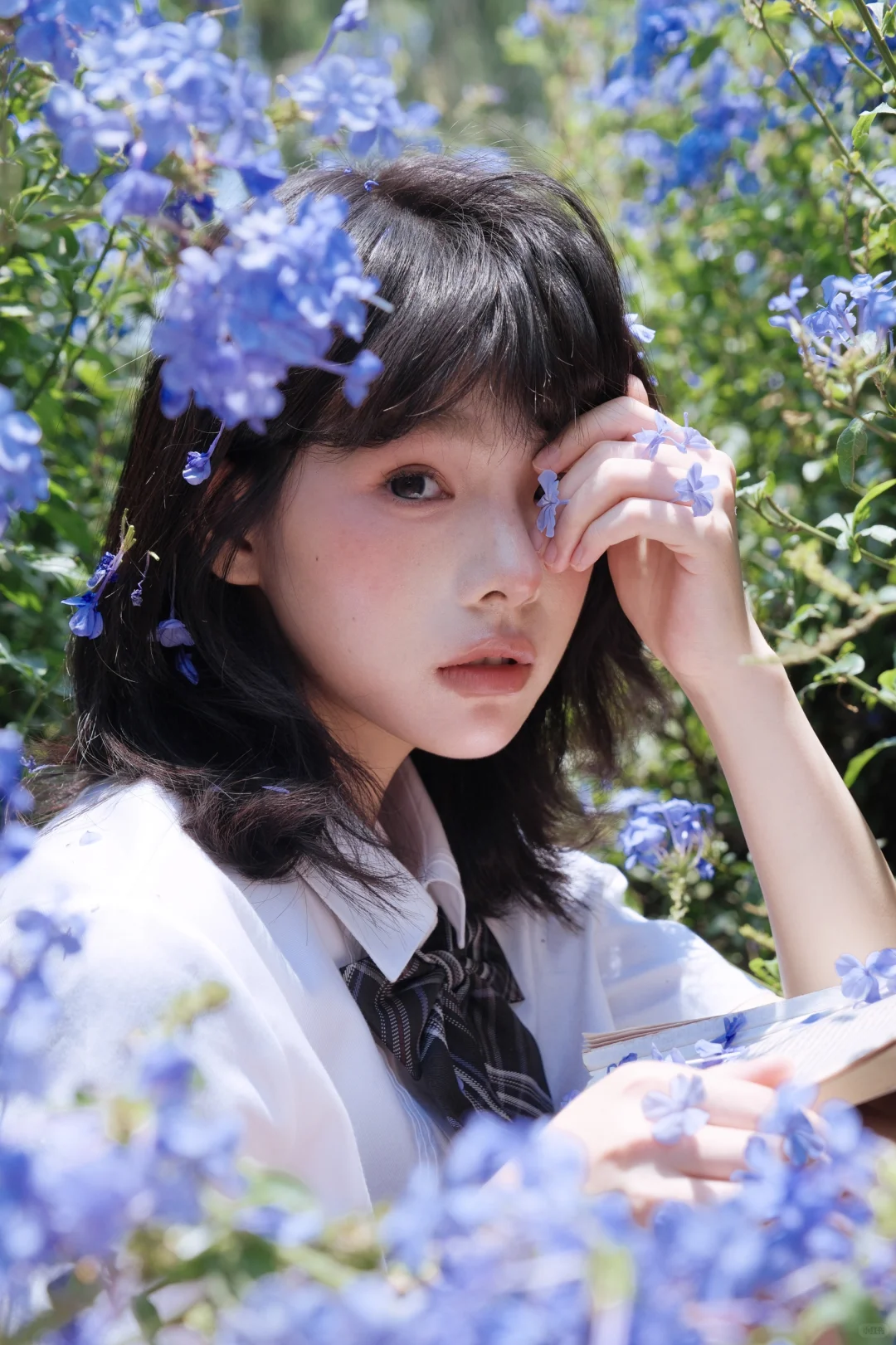 送你一曲蓝色乐章🎻