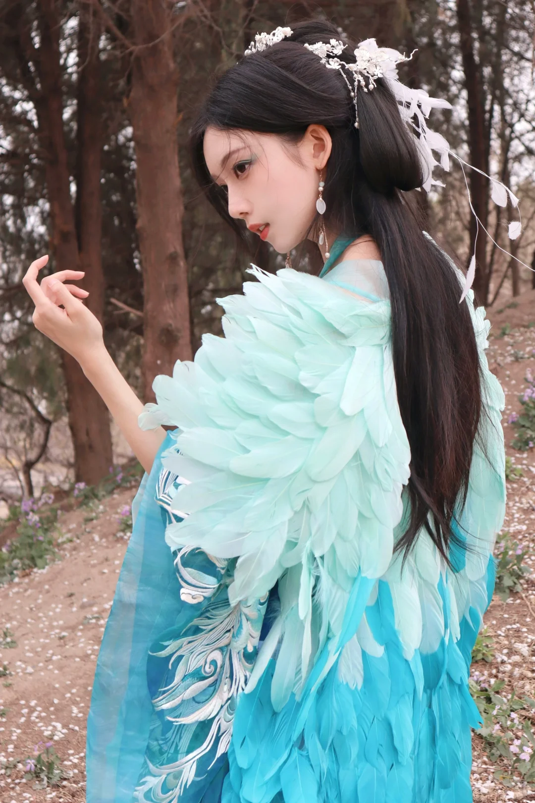 听说西域来了一位孔雀公主？🦚