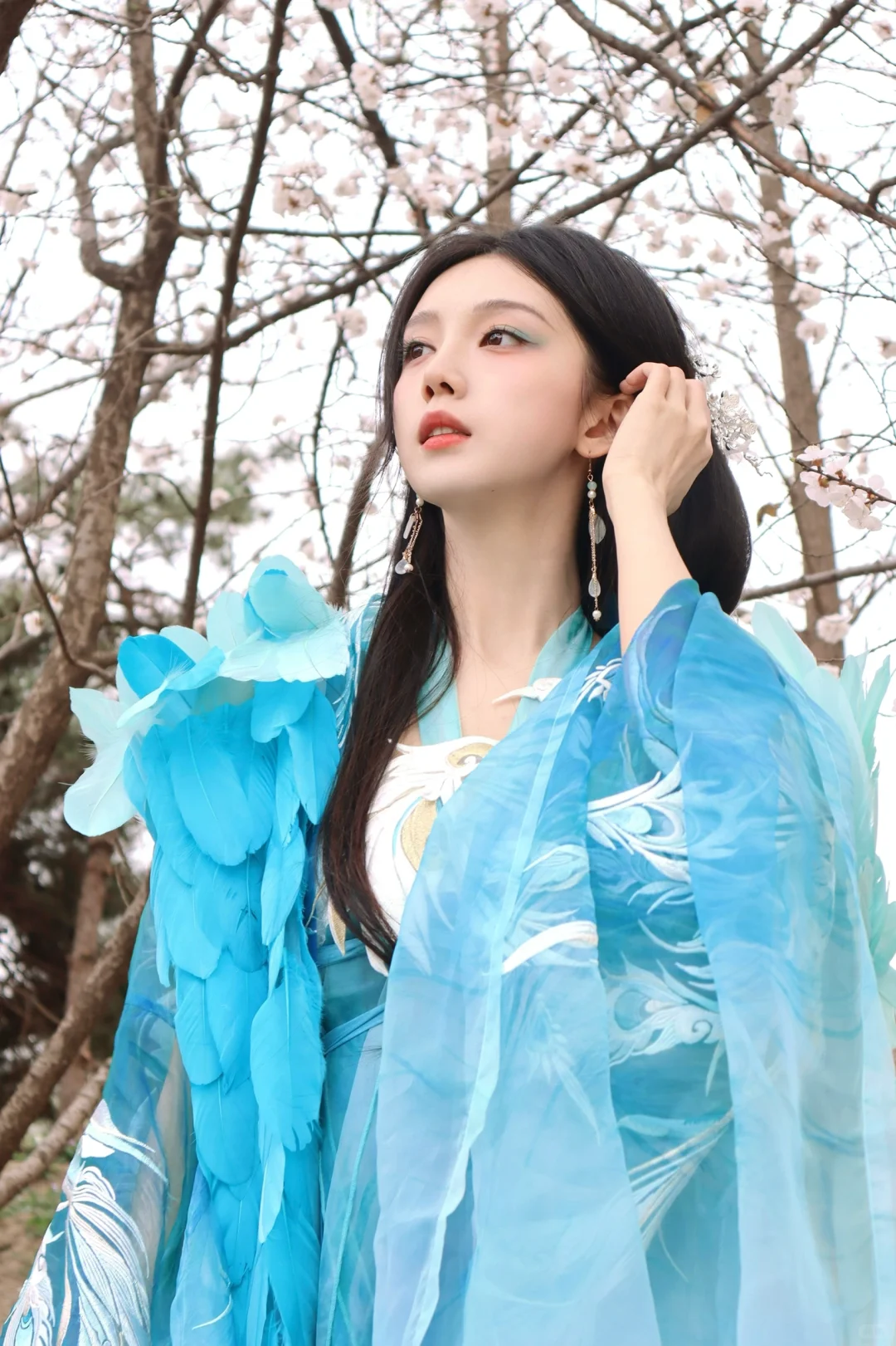听说西域来了一位孔雀公主？🦚