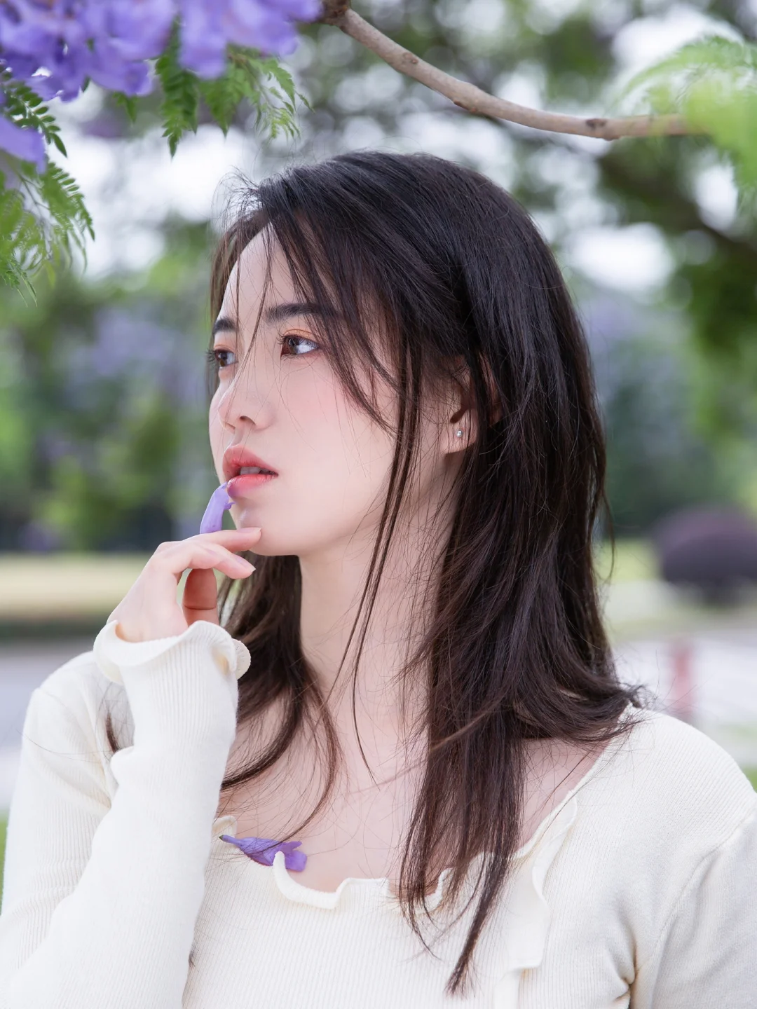 📸蓝花楹拍照指北｜紫色的浪漫落在我肩上💜