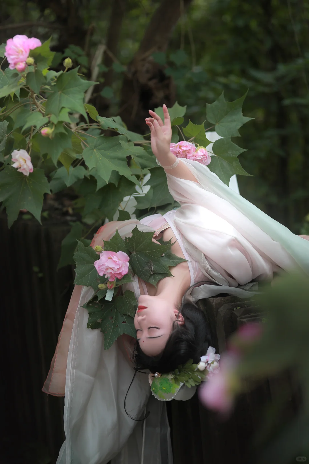 花下眠｜救命啊，这花就不能一年四季都开吗！