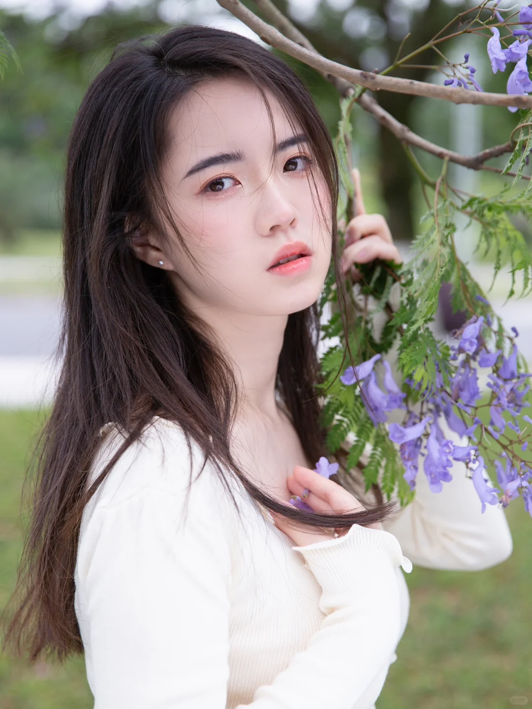 📸蓝花楹拍照指北｜紫色的浪漫落在我肩上💜