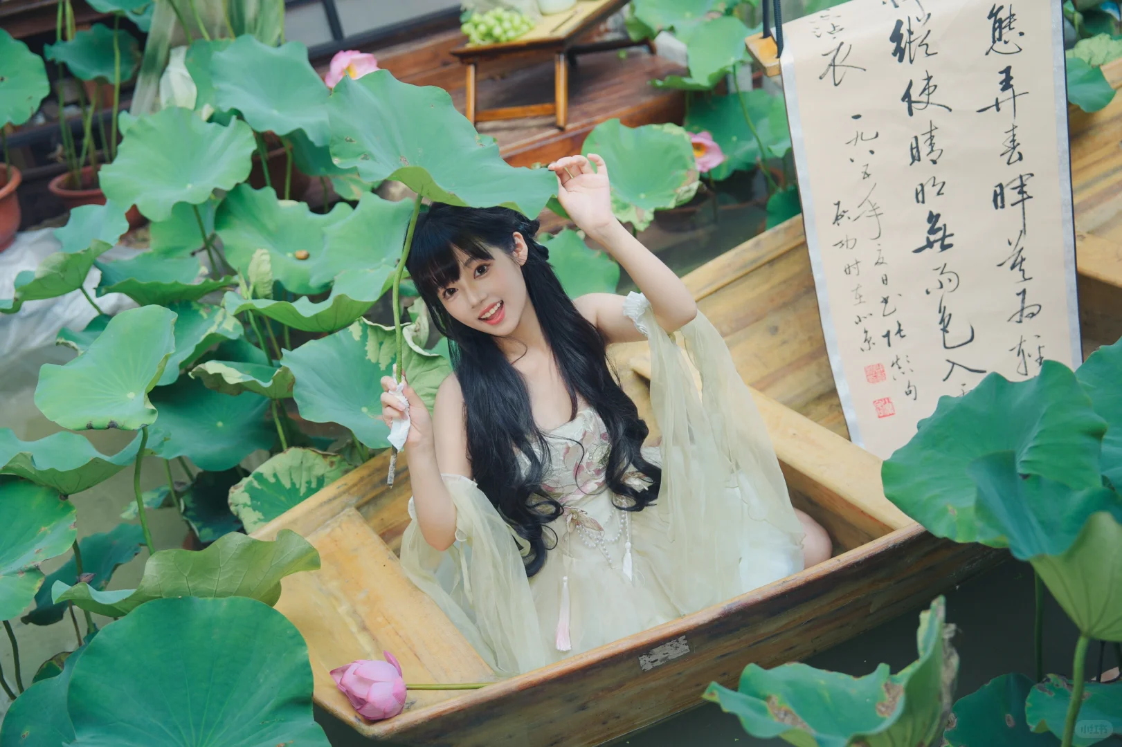 🪷 荷花池中鹅 🦢