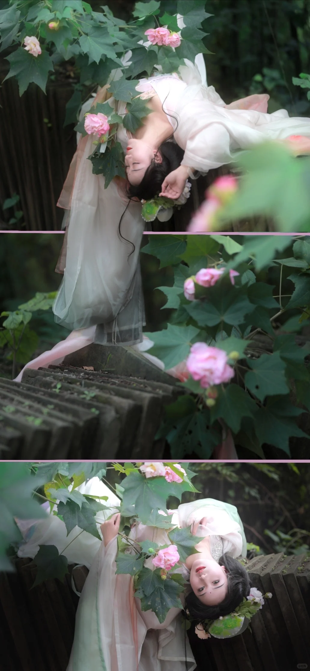 花下眠｜救命啊，这花就不能一年四季都开吗！