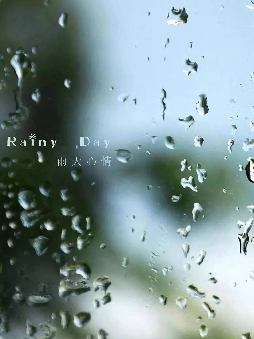 🌧️雨天 Plog｜宅家治愈时刻