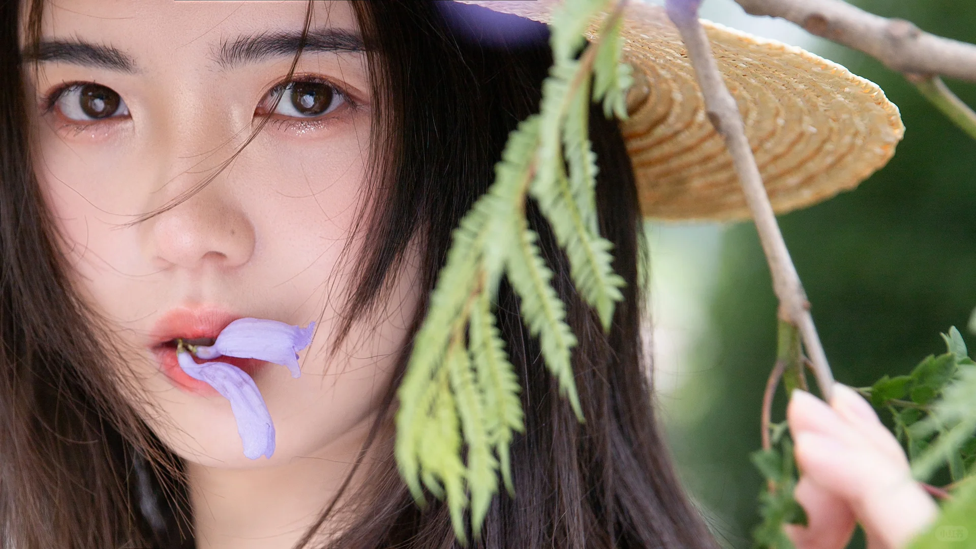 📸蓝花楹拍照指北｜紫色的浪漫落在我肩上💜