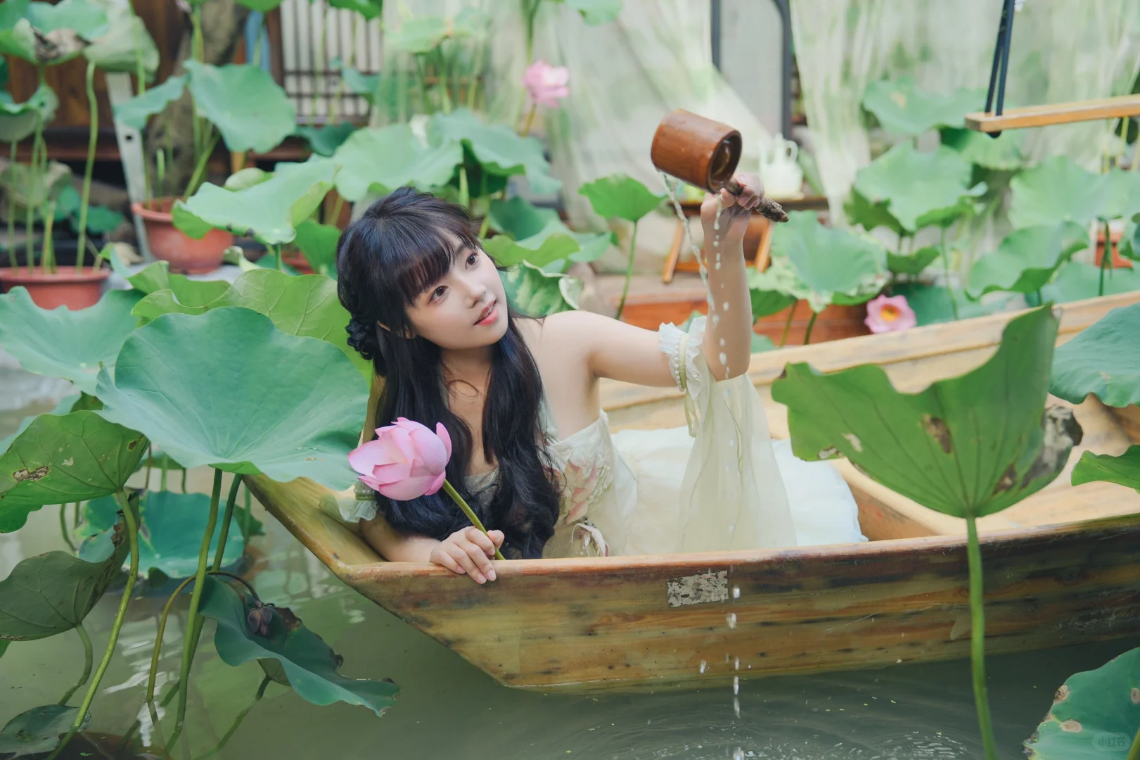 🪷 荷花池中鹅 🦢
