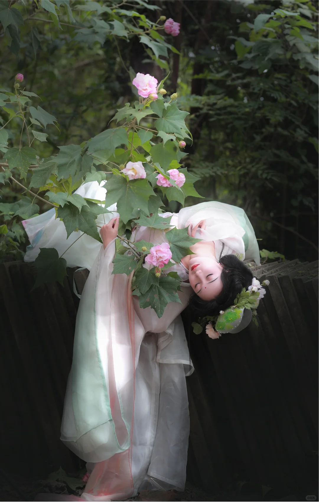 花下眠｜救命啊，这花就不能一年四季都开吗！