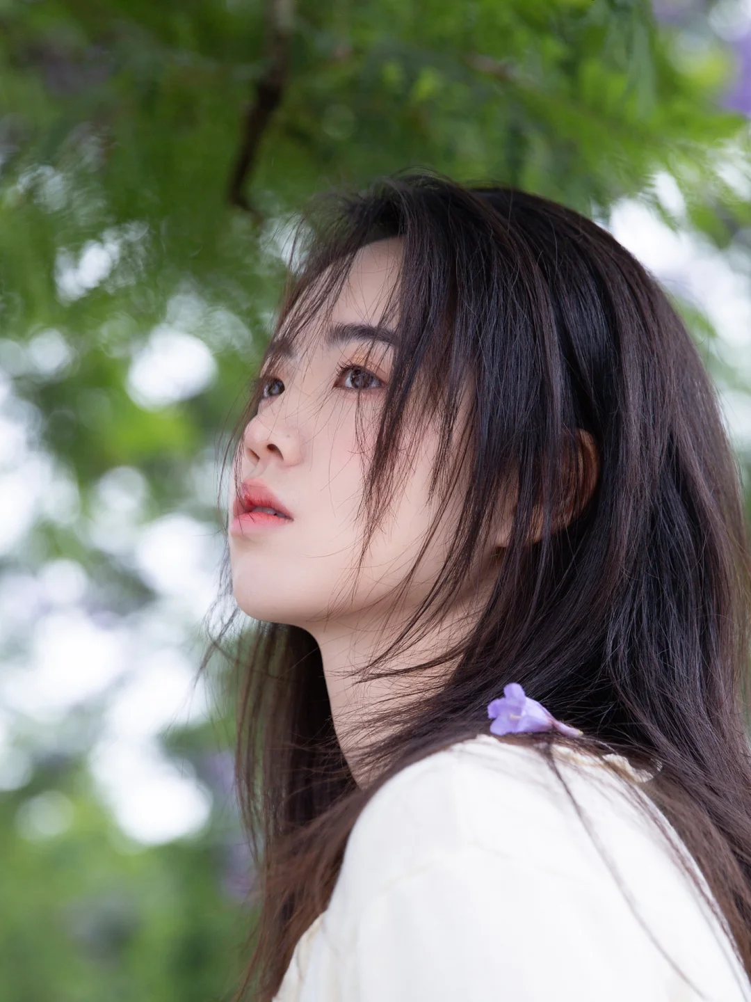 📸蓝花楹拍照指北｜紫色的浪漫落在我肩上💜