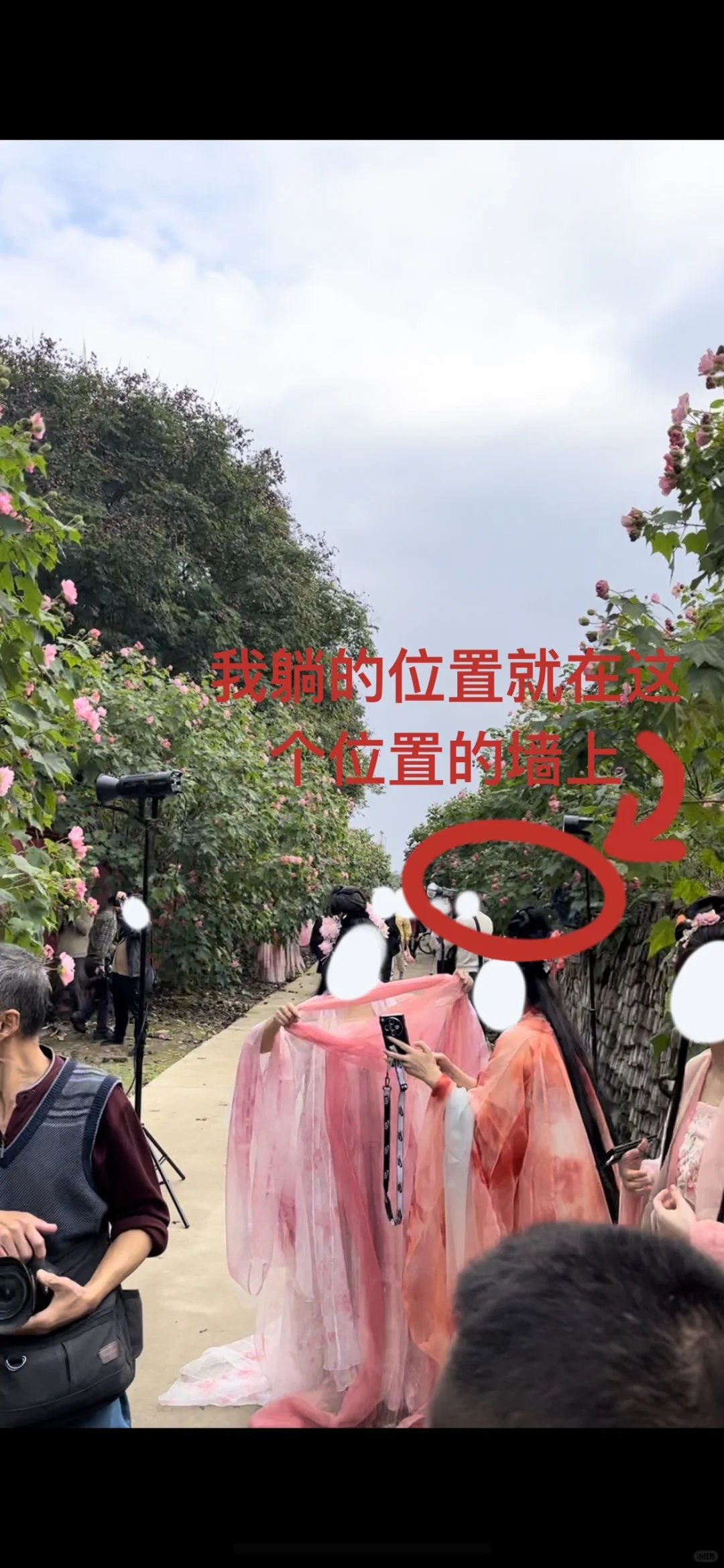 花下眠｜救命啊，这花就不能一年四季都开吗！
