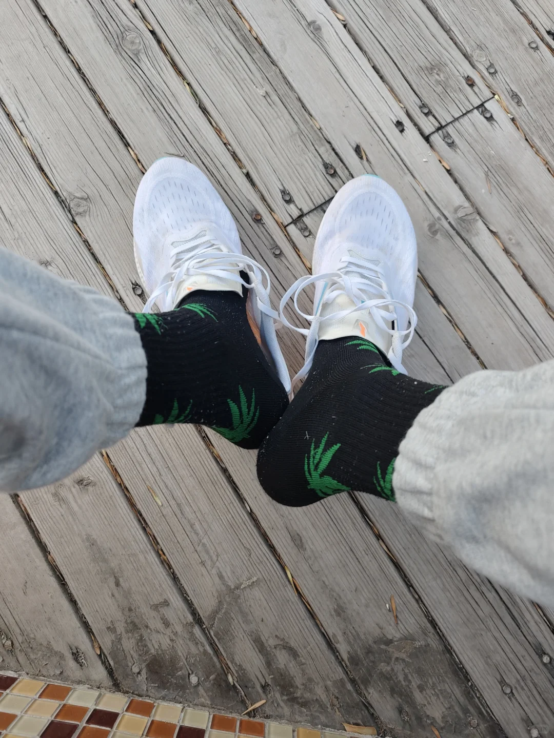 入夏前的一抹黑色