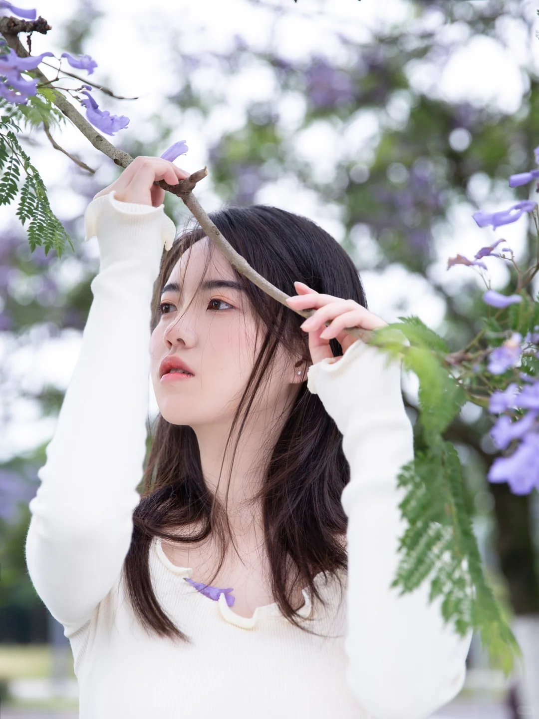 📸蓝花楹拍照指北｜紫色的浪漫落在我肩上💜