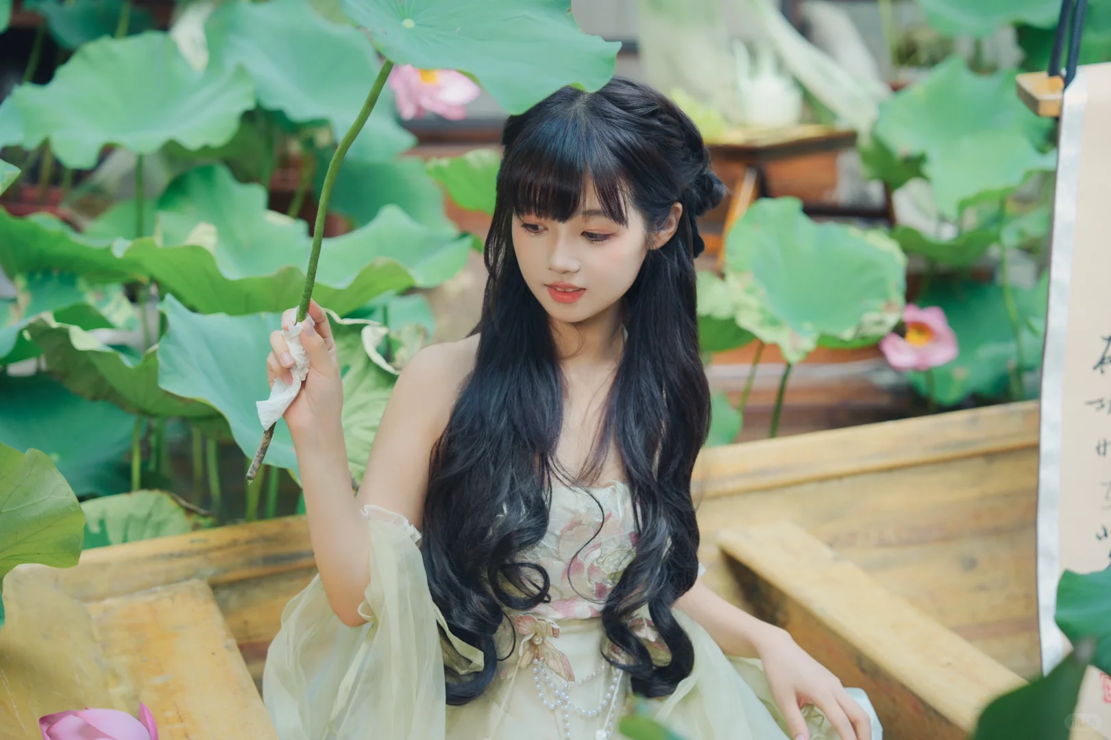 🪷 荷花池中鹅 🦢