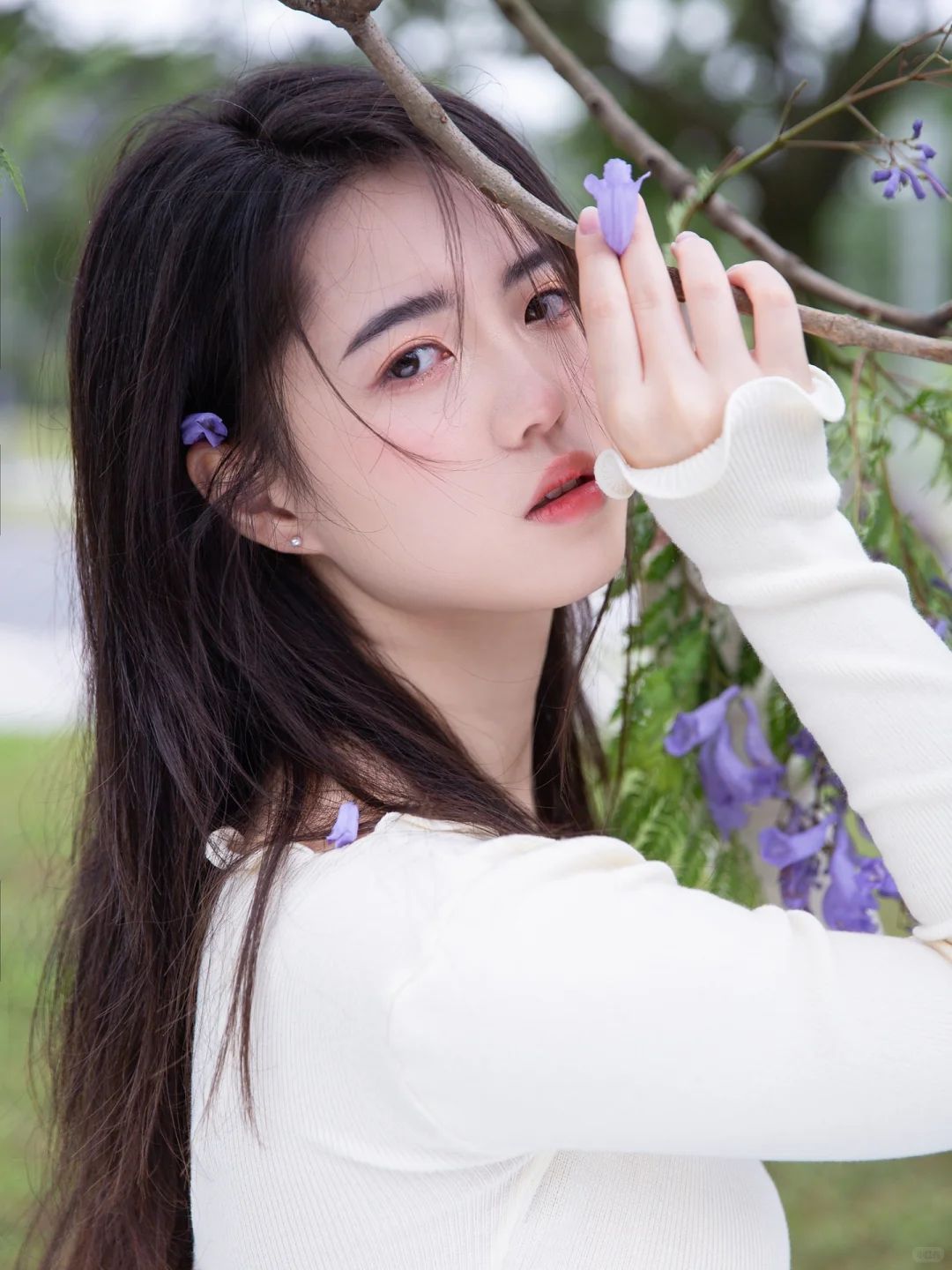 📸蓝花楹拍照指北｜紫色的浪漫落在我肩上💜