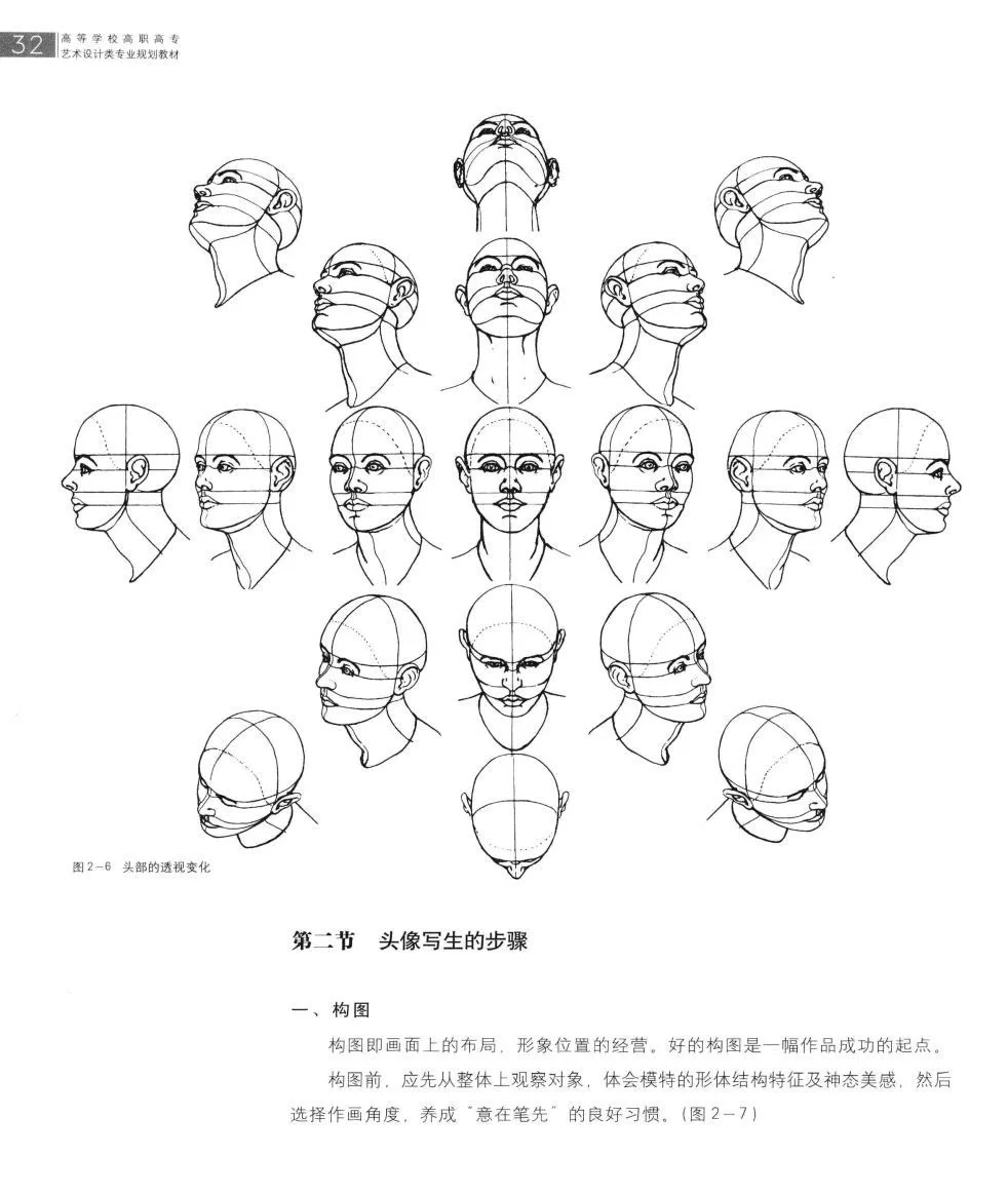 头部结构透视｜男性女性/脸模