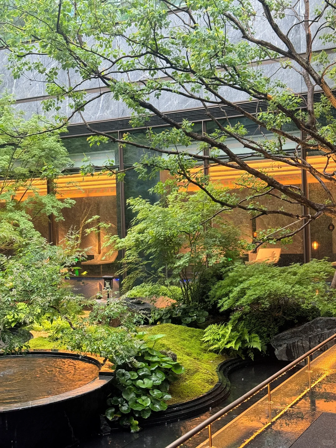 来自于🌧️雨天的高级感 白月光裙子！