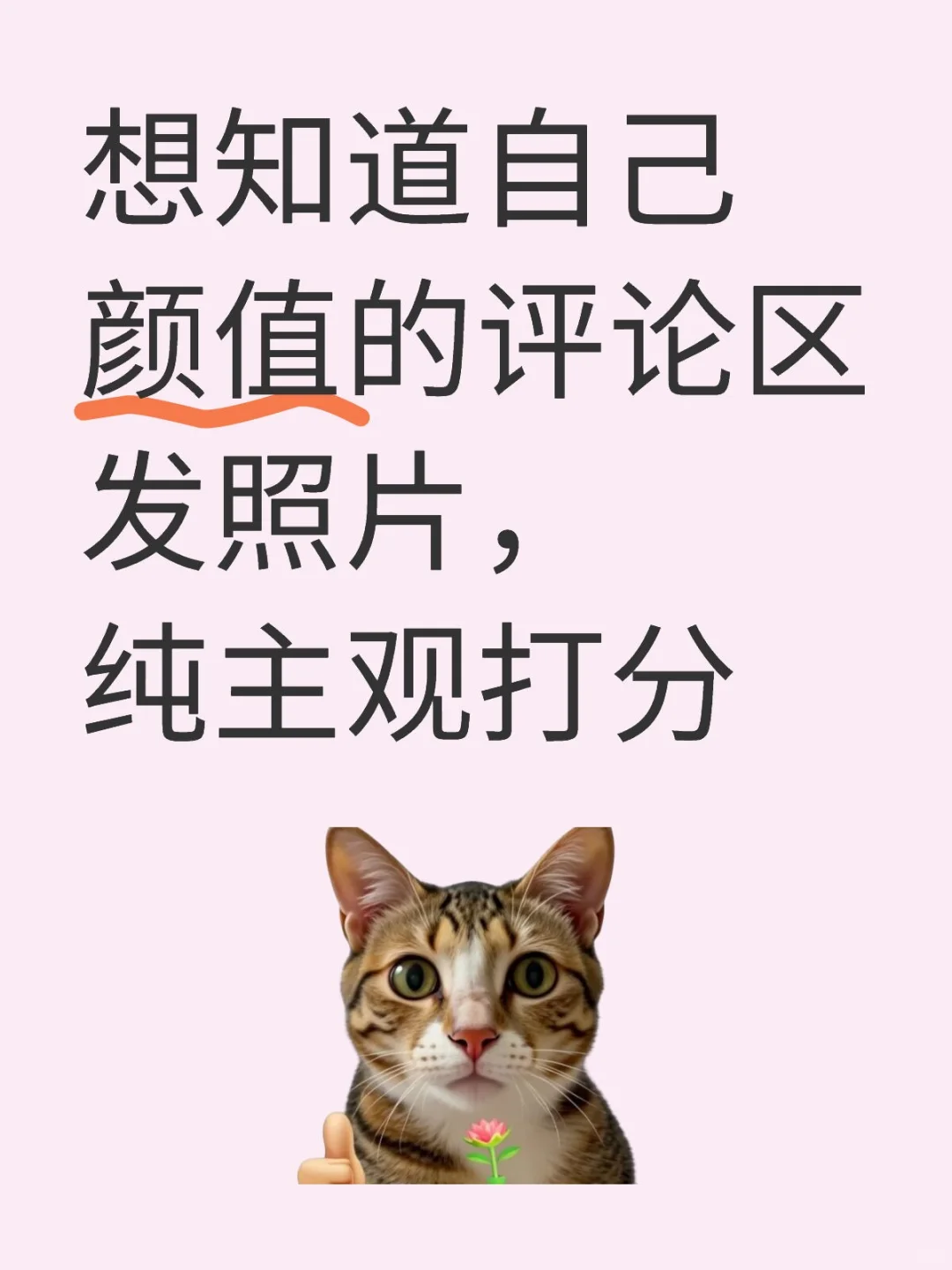 想知道自己颜值的发图纯主观打分