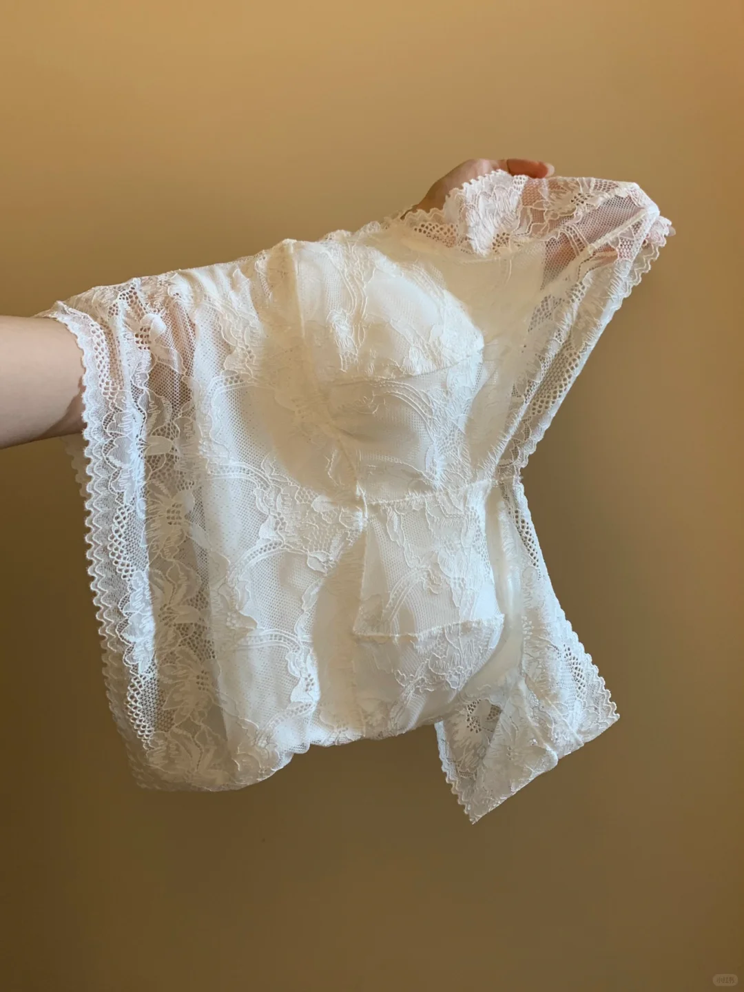 纯欲氛围感的透视蕾丝短t ！又欲又温柔！