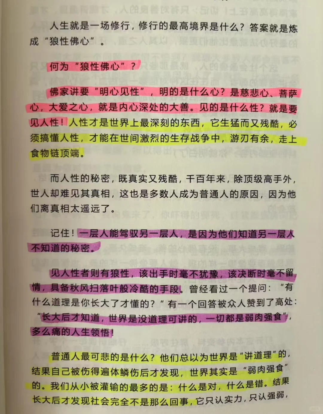人生回报率最高的48件事🔥