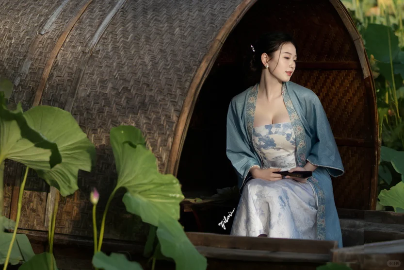 我美还是荷花美！🙂‍↔️