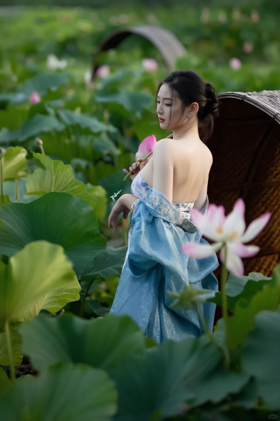 我美还是荷花美！🙂‍↔️