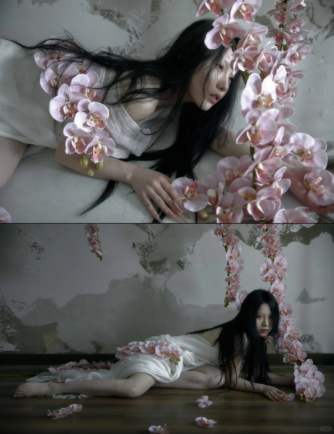 不蔓不枝