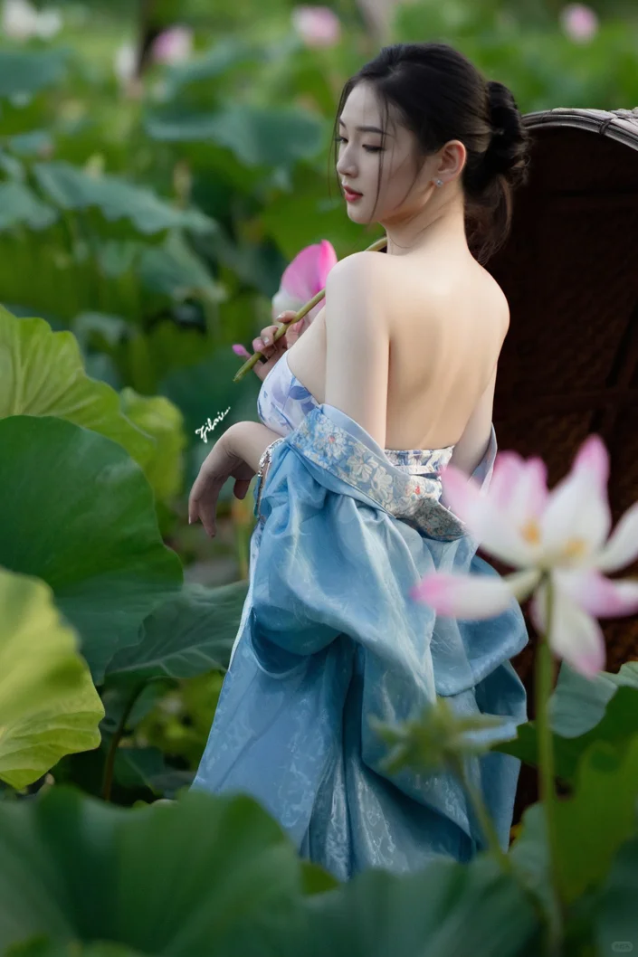 我美还是荷花美！🙂‍↔️