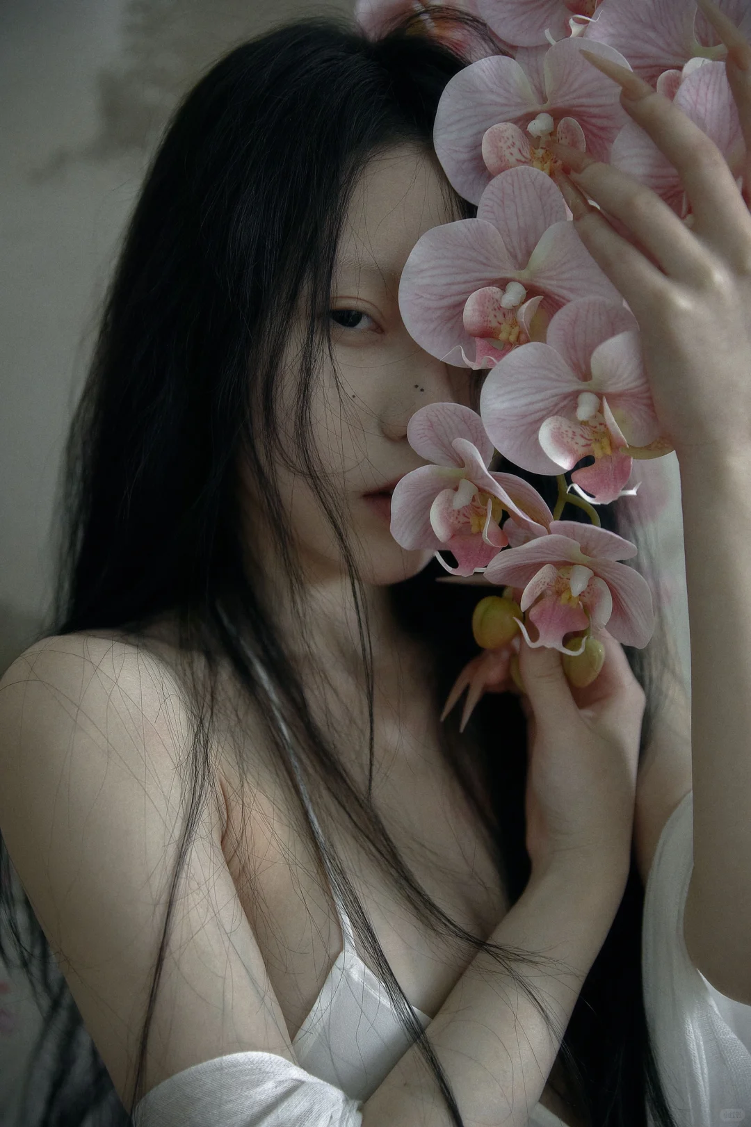 不蔓不枝