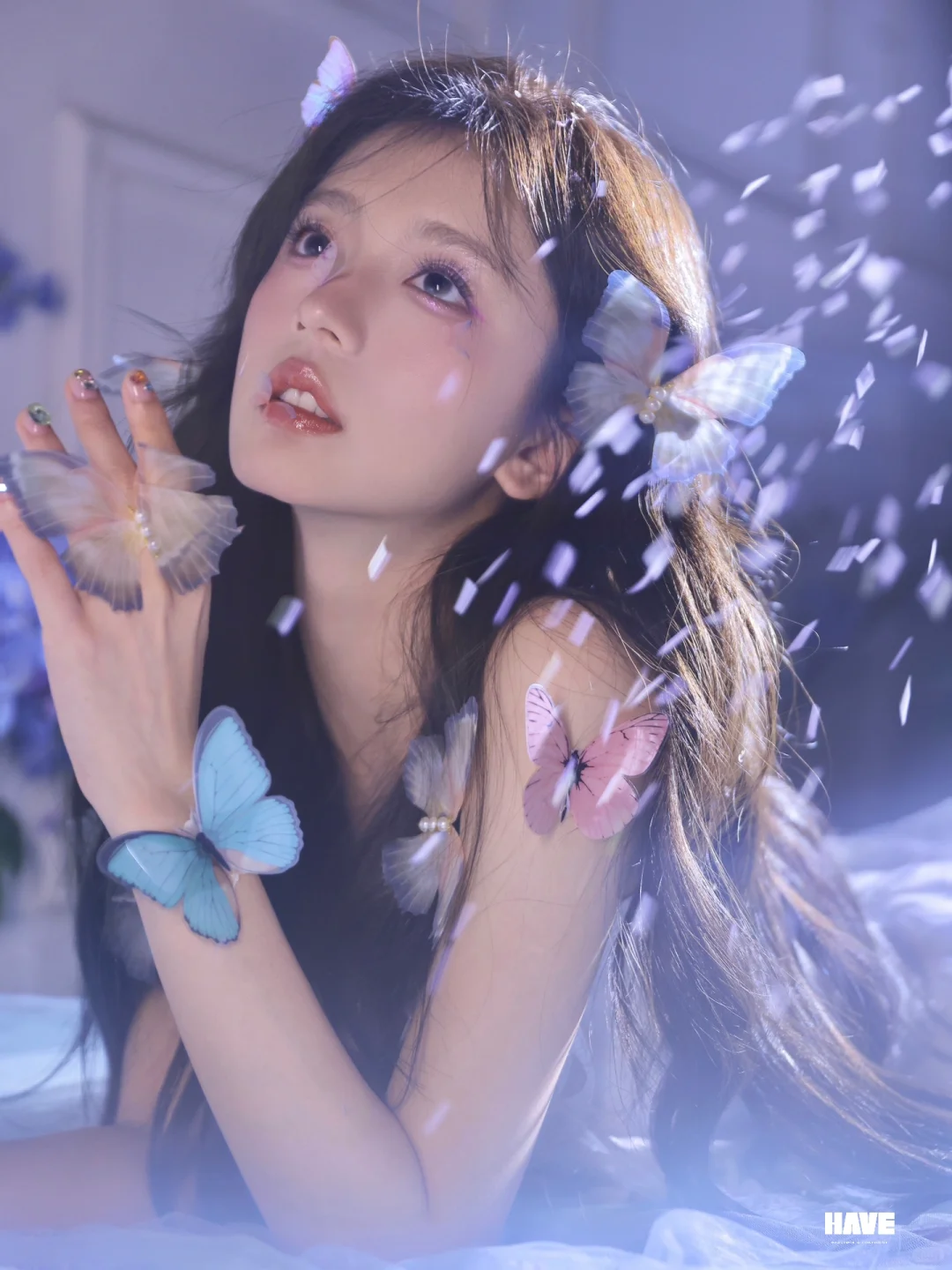 超梦幻的电子蝴蝶🦋系列