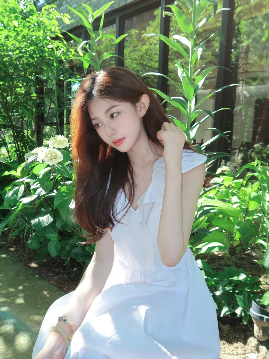 夏日🕊️