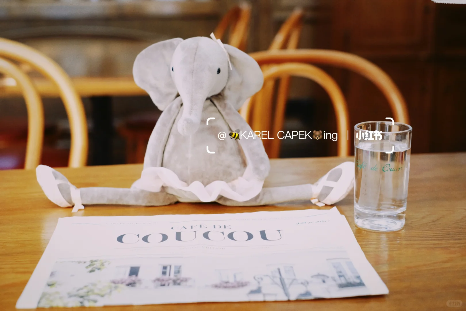 优雅象女士｜Cafe de Coucou
