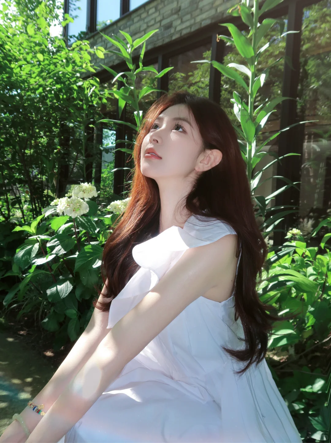 夏日🕊️