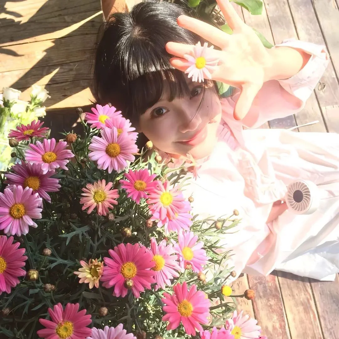 春夏头像来啦