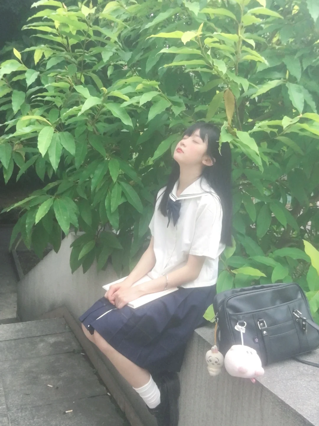 夏 叶 🍃