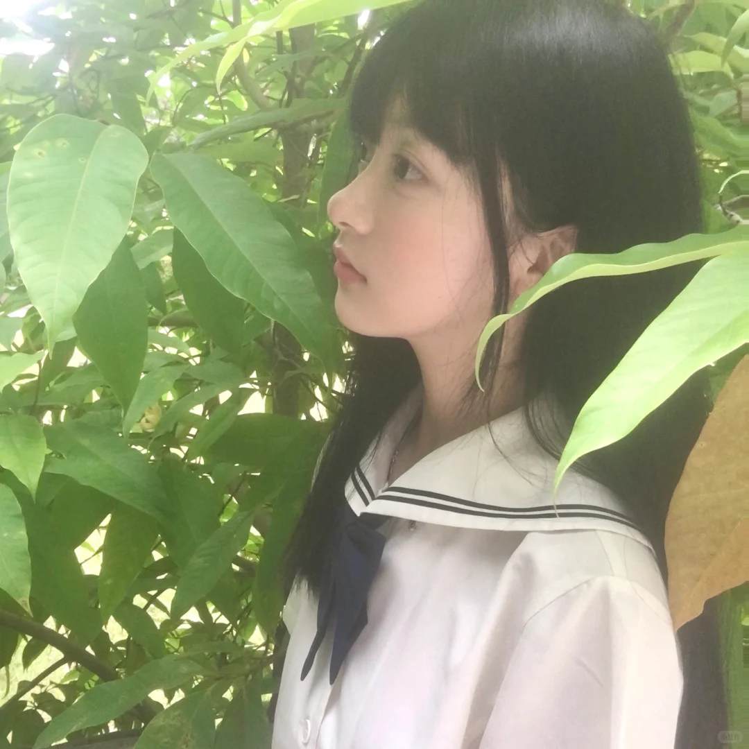 夏 叶 🍃