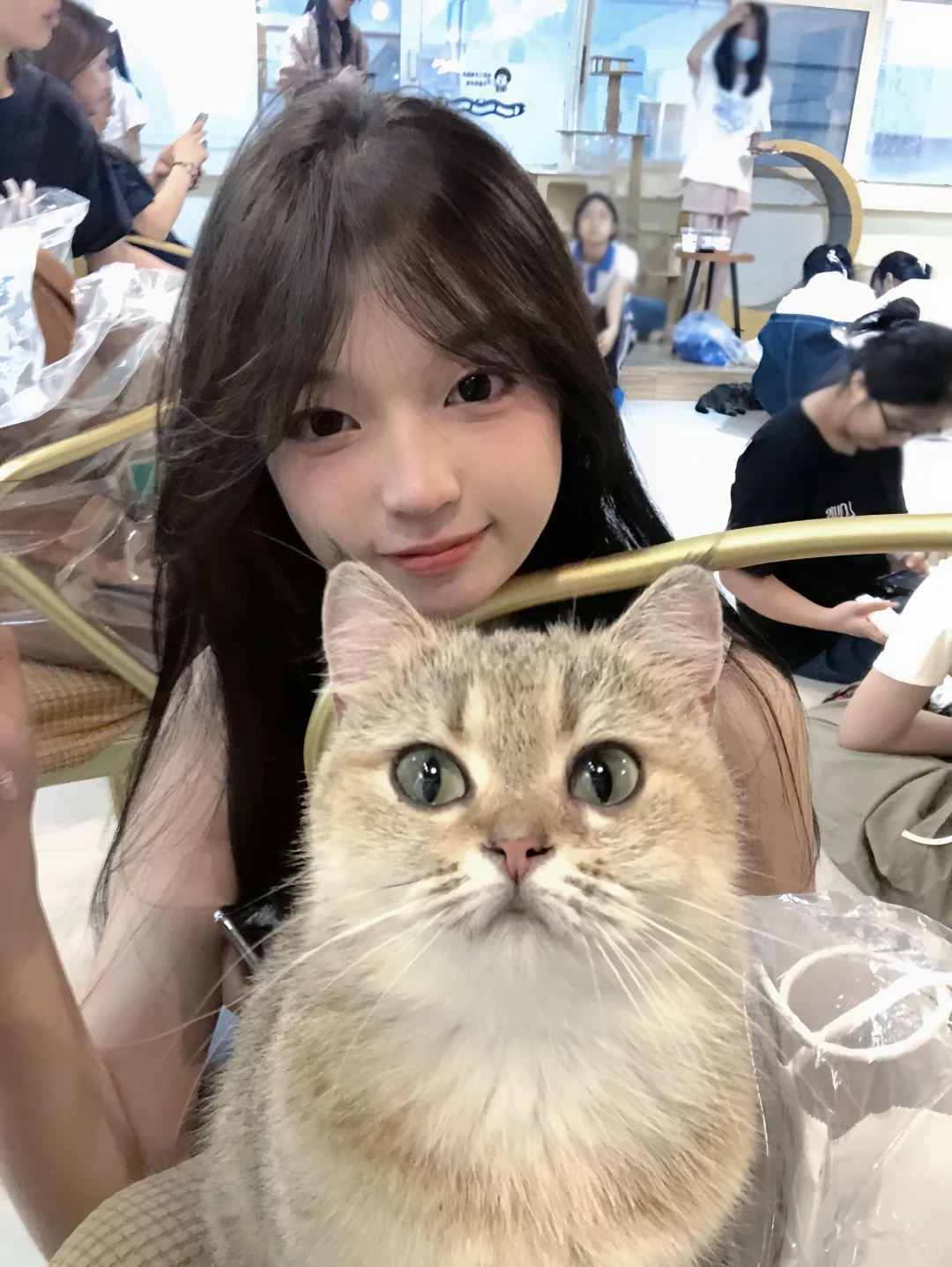 06女高|淡妆真的是白月光天花板...
