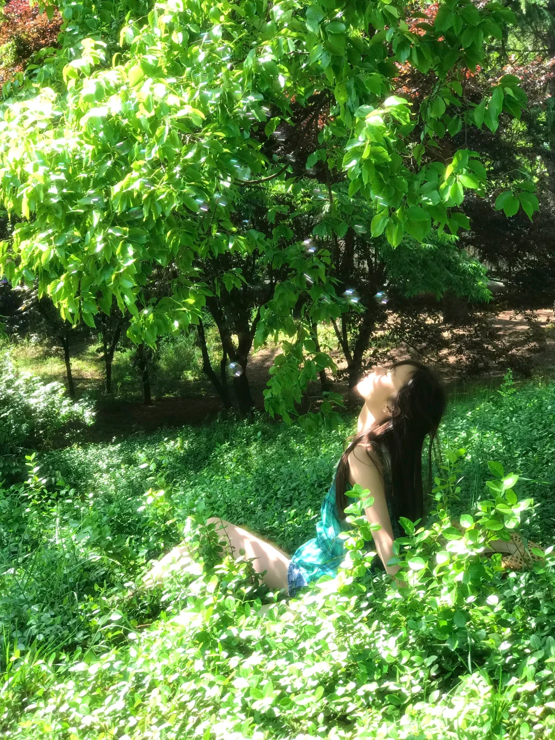 “少女的心事散落在绿荫里”🍃
