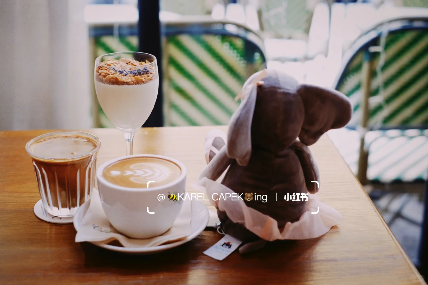 优雅象女士｜Cafe de Coucou